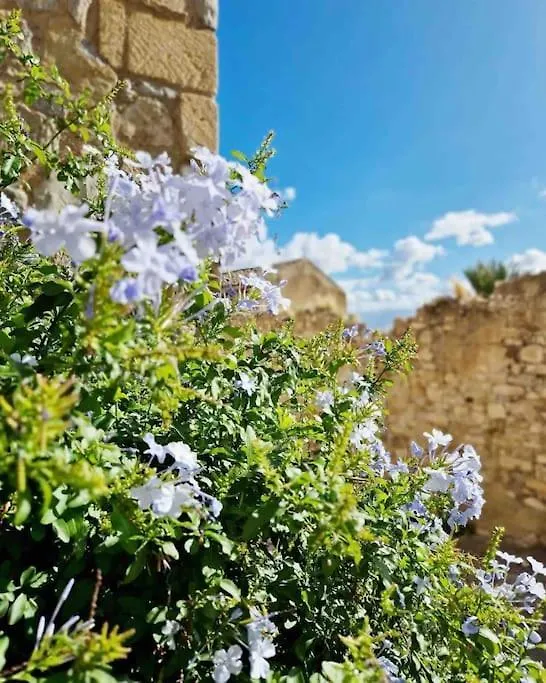 Casa Al Plumbago Villa Termini Imerese Holiday home